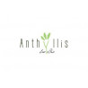 Anthyllis