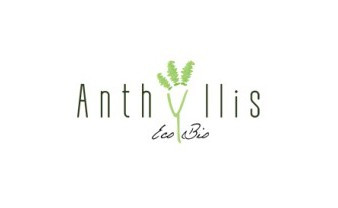 Anthyllis